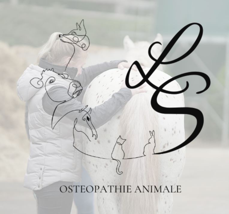 osteo